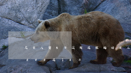 欠宜人贷5万没钱还被起诉(宜人贷借了50000还了8万)