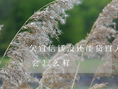 欠宜信钱没还能贷宜人贷吗(宜人贷借款没还会怎么样)