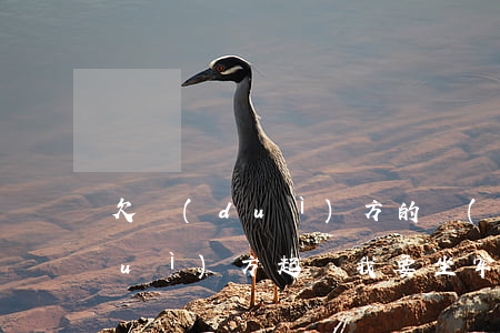 欠對(duì)方的錢(qián)對(duì)方起訴我要坐牢嗎（對(duì)方欠錢(qián)打官司有用嗎）