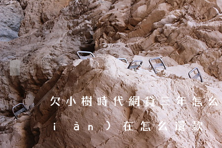 欠小樹時代網貸三年怎么辦(小樹時代現(xiàn)在怎么還款)