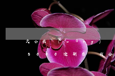欠小米網(wǎng)貸一年(小米貸款欠了5000,逾期,告訴我全部還上)
