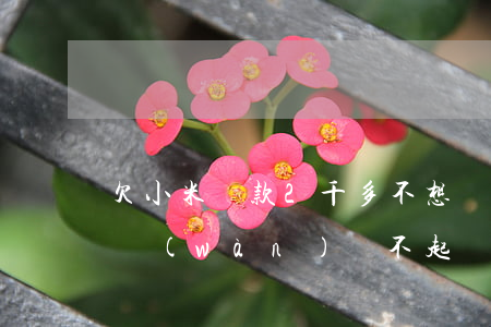 欠小米貸款2千多不想還了(小米金融貸款2萬(wàn)還不起)