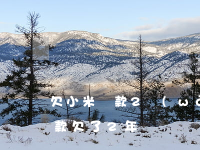 欠小米貸款2萬(wàn)元犯法么(小米貸款欠了2年)