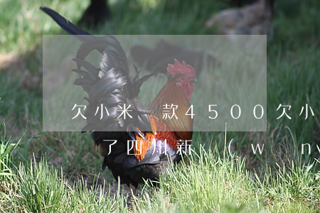 欠小米貸款4500(欠小米貸款2千多不想還了,四川新網(wǎng)銀行放的款)