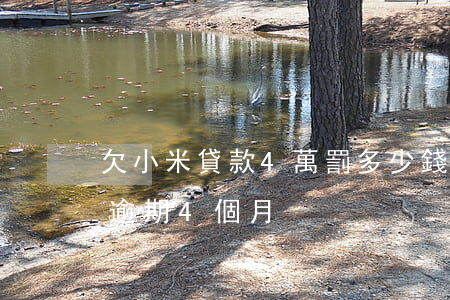 欠小米貸款4萬罰多少錢(小米貸款借了5萬逾期4個月)