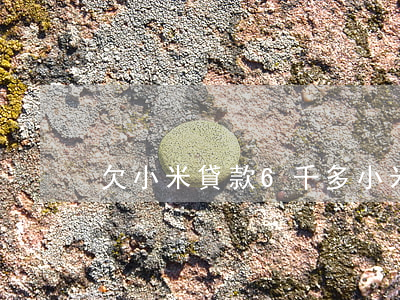 欠小米貸款6千多(小米貸款坑)