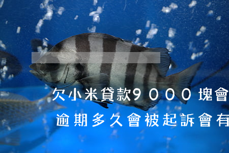 欠小米貸款9000塊會被起訴嗎(小米貸款逾期多久會被起訴會有什么后果)