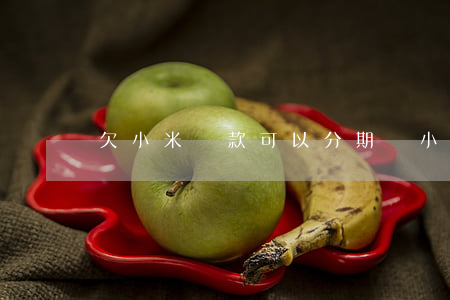 欠小米貸款可以分期嗎(小米可以分期付款嗎)