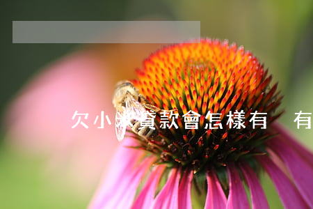欠小米貸款會怎樣(有沒有小米貸款 沒有還的)