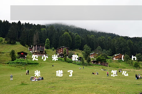 欠小米貸款沒錢還會(huì)怎么樣(在小米貸借了錢沒還怎么辦)