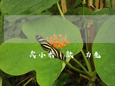 欠小米貸款無力先還罰息(小米貸款逾期罰息)