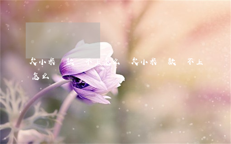 欠小米貸款還不上怎么辦(欠小米貸款還不上怎么辦)