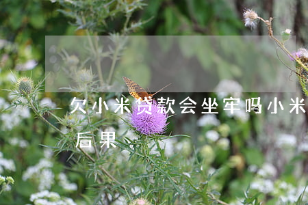 欠小米贷款会坐牢吗(小米贷款不还会有哪些后果)
