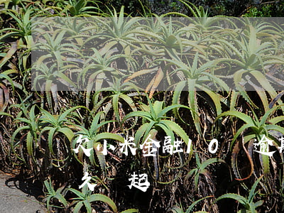欠小米金融10萬逾期坐牢嗎(欠金融小米多久會起訴)
