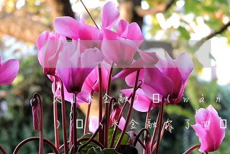 欠小米金融2萬(wàn)兩年沒(méi)還(小米金融欠了四萬(wàn)多還不上逾期了怎么協(xié)商)