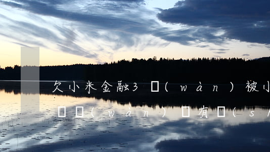 欠小米金融3萬(wàn)(被小米金融騙了兩萬(wàn)塊,有誰(shuí)還了貸款沒有)
