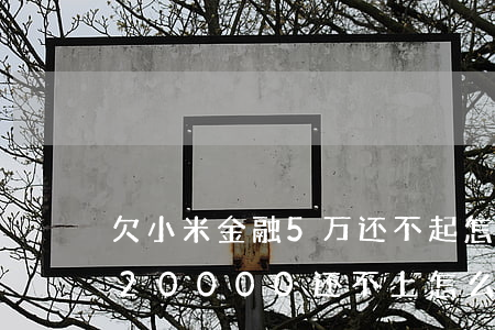 欠小米金融5万还不起怎么办(小米金融借了20000还不上怎么办)