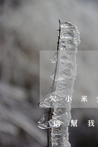 欠小米金融9w(欠小米金融五萬多逾期上征信幫我已經(jīng)墊付)