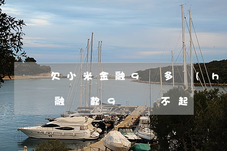 欠小米金融9萬多會(huì)怎樣(小米金融貸款9萬還不起)