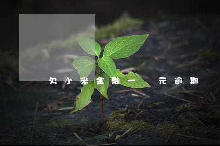 欠小米金融一萬元逾期