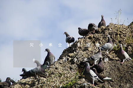 欠小米金融不還會(huì)怎樣(有沒(méi)有小米金融沒(méi)還的)