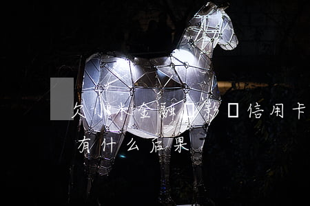欠小米金融會影響信用卡嗎(小米金融還不上有什么后果)