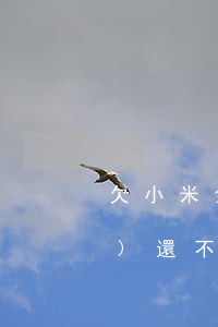 欠小米金融的錢(qián)暫時(shí)還不起(小米金融無(wú)法還款)