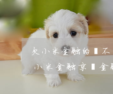 欠小米金融的錢不還會(huì)怎么樣(欠小米金融,京東金融的錢沒能力還了)