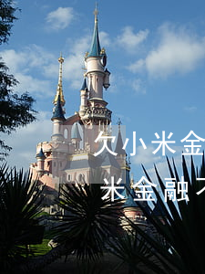 欠小米金融的錢不還會鎖手機(jī)嗎(小米金融不還會有什么后果)