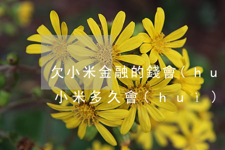 欠小米金融的錢會(huì)坐牢么(欠金融小米多久會(huì)起訴)