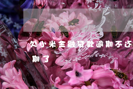 欠小米金融贷款逾期不还会怎样(小米贷款逾期了)