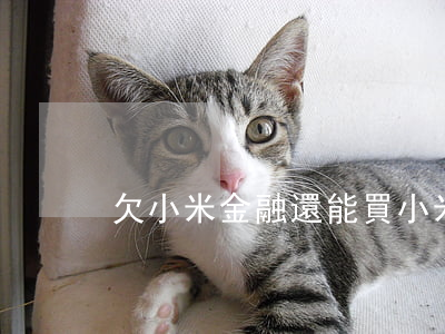 欠小米金融還能買小米手機(jī)嗎