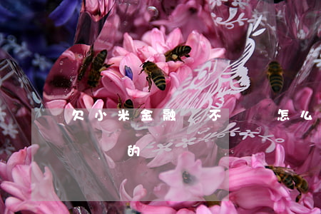 欠小米金融錢不還會怎么樣(有沒有小米金融沒還的)