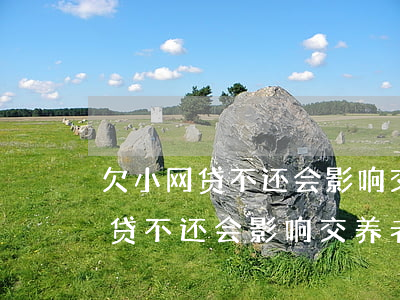 欠小网贷不还会影响交养老保险吗-欠小网贷不还会影响交养老保险吗知乎