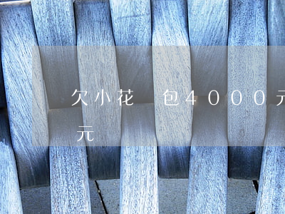 欠小花錢包4000元(欠小花錢包4000元)