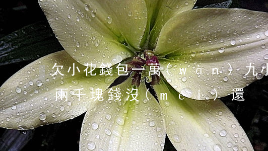 欠小花錢包一萬(wàn)九(小花錢包借了兩千塊錢沒(méi)還)