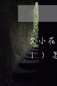 欠小花錢包二千多沒(méi)還會(huì)怎么樣