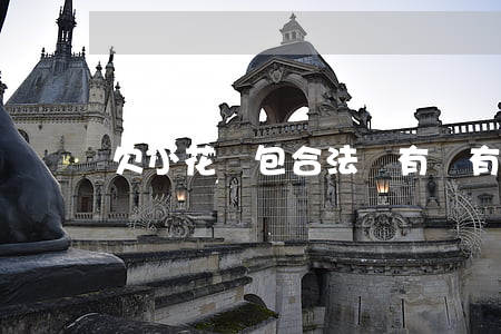 欠小花錢包合法嗎(有沒有辦法告小花錢包)