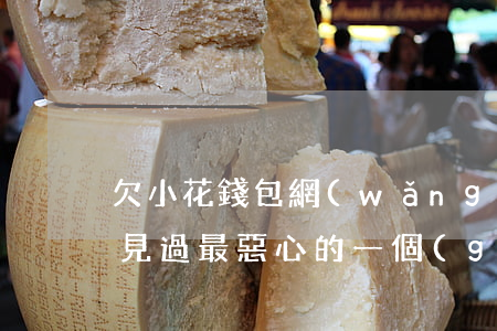 欠小花錢包網(wǎng)貸(小花錢包是我見過最惡心的一個(gè)借款平臺(tái))