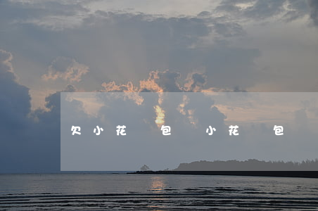 欠小花錢包錢(小花錢包沒還款)