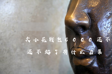 欠小花钱包6000还不上(欠小花钱包的钱还不起了有什么后果)