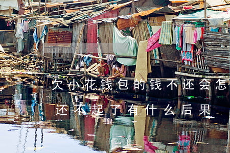 欠小花钱包的钱不还会怎样(欠小花钱包的钱还不起了有什么后果)