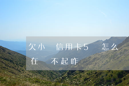 欠小貸信用卡5萬怎么辦(欠信用卡五萬多實在還不起咋辦)