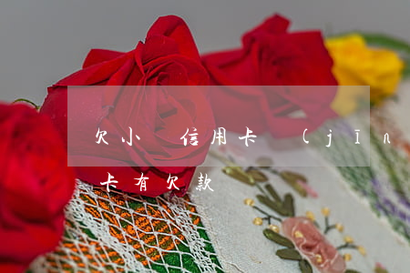 欠小貸信用卡經(jīng)歷(辦貸款信用卡有欠款)