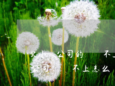欠小貸公司的錢還不上咋辦(如果欠小額貸款公司錢還不上怎么辦)