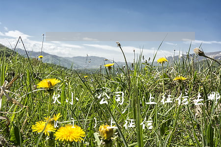 欠小貸公司錢上征信去哪還(欠公司錢會(huì)上征信嗎)