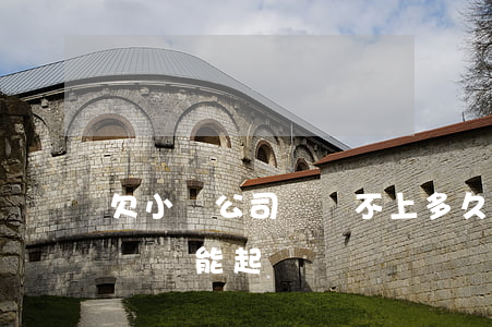 欠小貸公司錢還不上多久起訴(小額貸公司不還錢能起訴嗎)