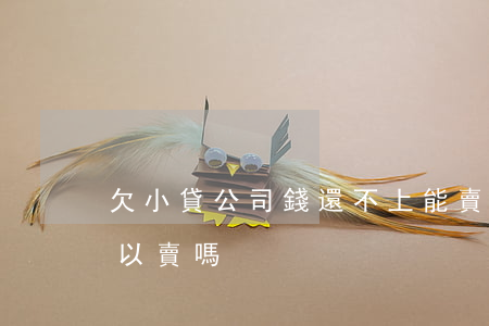 欠小貸公司錢還不上能賣房嗎(房貸還不起可以賣嗎)