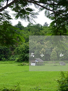 欠小貸和信用卡的錢(怎么看信用卡欠款)