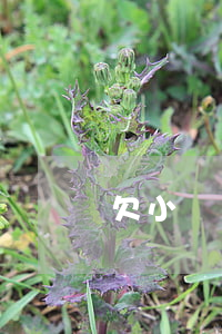 欠小貸換掉手機號(欠網(wǎng)貸換手機號碼了他們怎么知道)